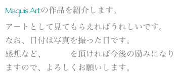 Maquis Artの作品を紹介します。
アートとして見てもらえればうれしいです。
なお、日付は写真を撮った日です。
感想など、メールを頂ければ今後の励みになりますので、よろしくお願いします。